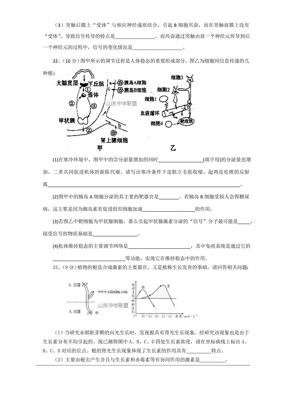 潍坊实验中学2014届高三12月考试题 生物(含答案)_第5页