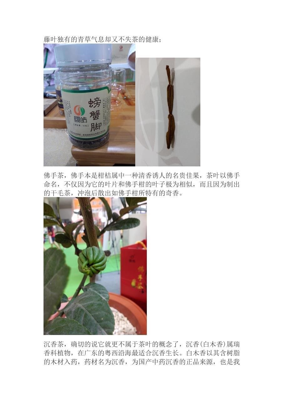 2013年深圳茶博会五大难忘的茶_第5页