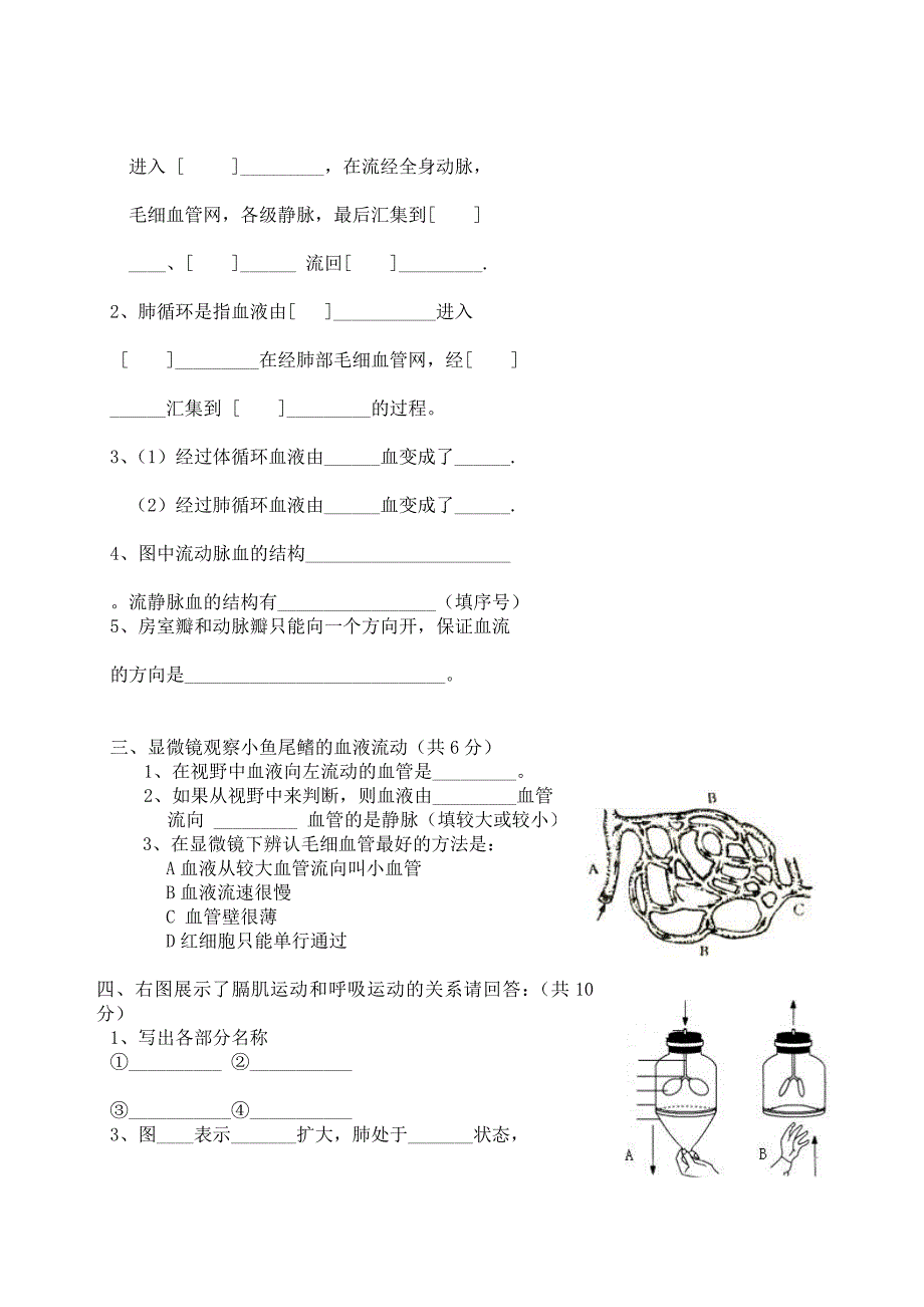 2010--2011年下七年级期中试题_第3页