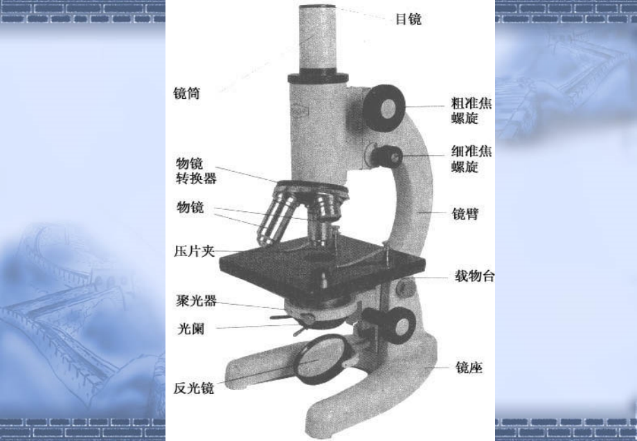 09年生物高考专题：高中生物课本实验归类总结优秀课件_第4页