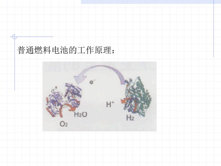 以酶为基础的生物燃料电池_第2页