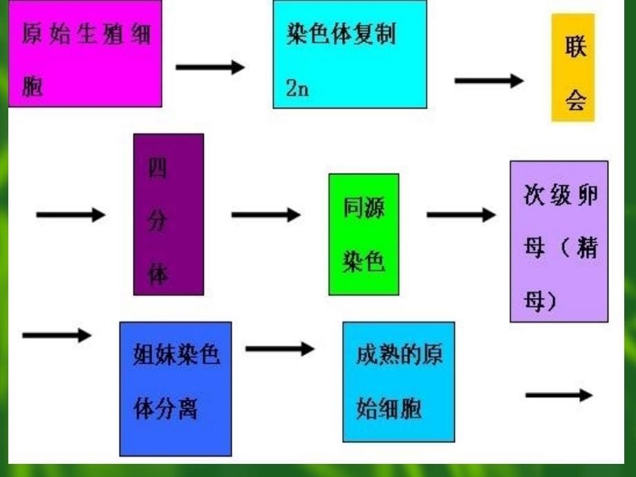 吉林省通化市东昌区靖宇小学刘晶莹_第5页