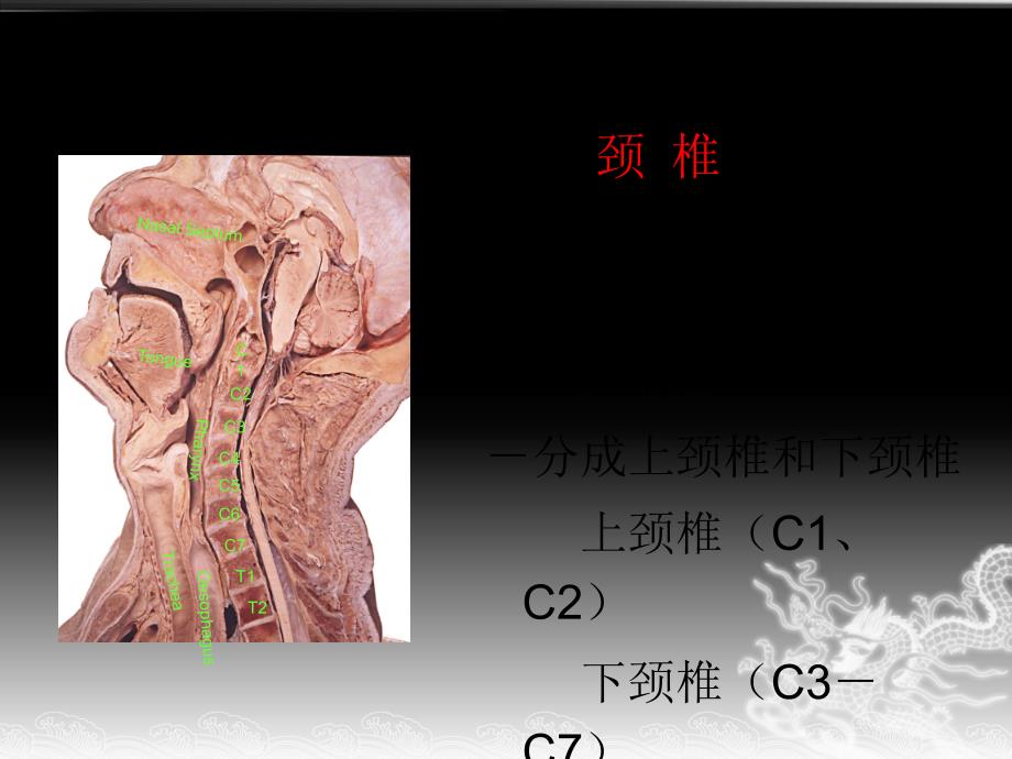 颈椎悬吊训练技术_第4页