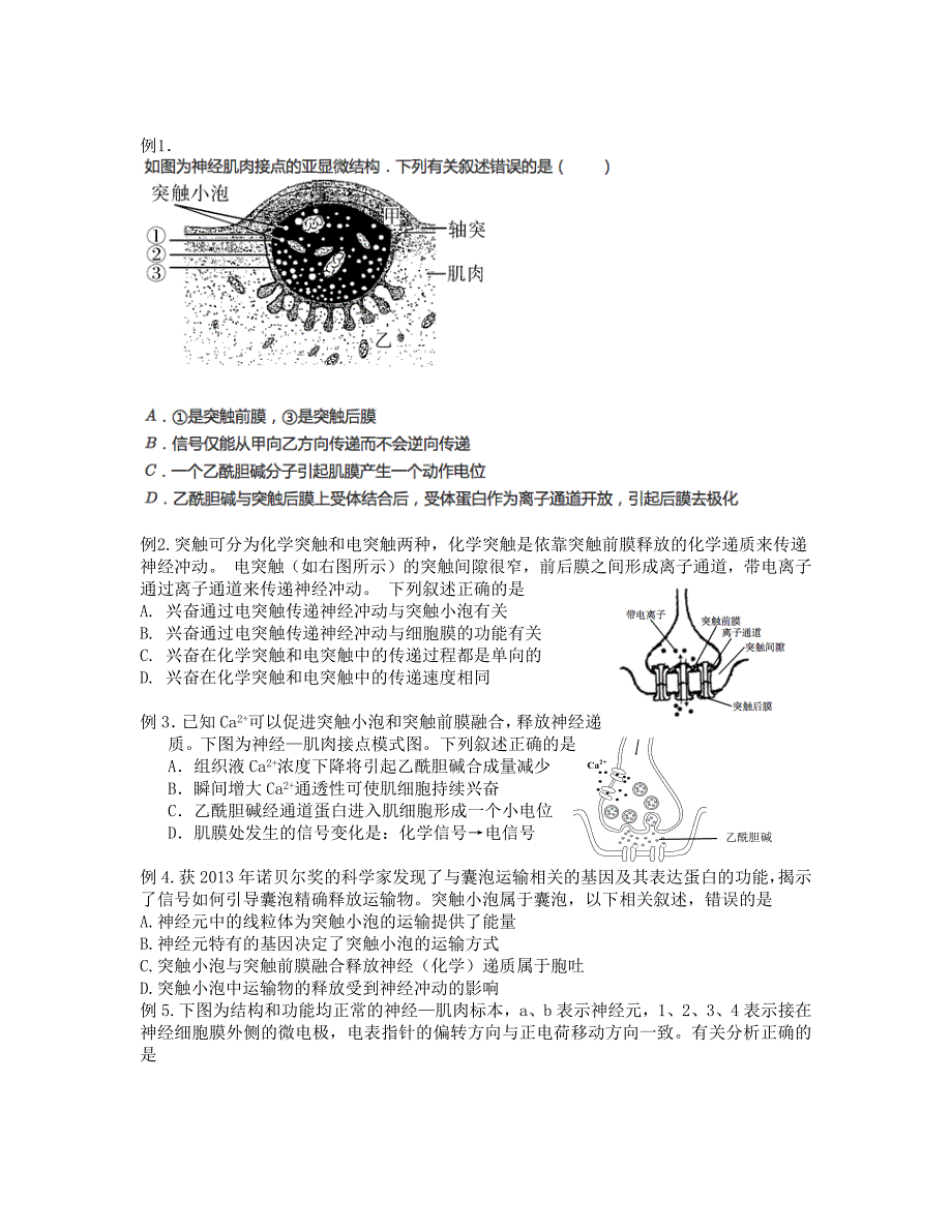 二轮 突触的信号传递_第2页