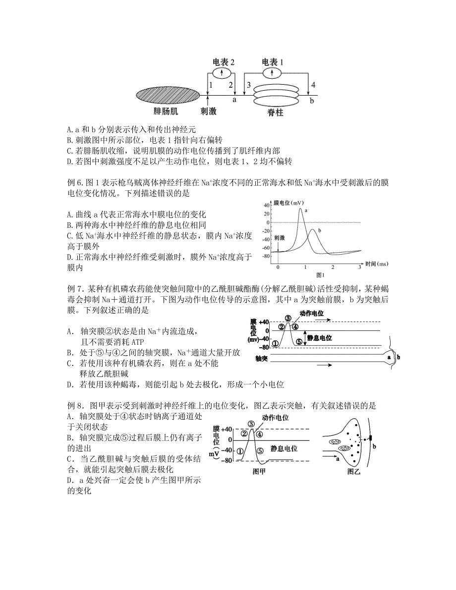 二轮 突触的信号传递_第3页