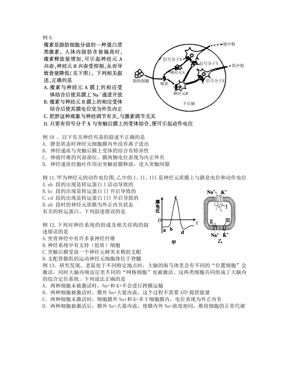 二轮 突触的信号传递_第4页