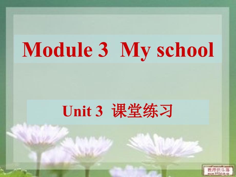 _Module_3_Unit_3_Language_in_use课堂练习课件_第1页