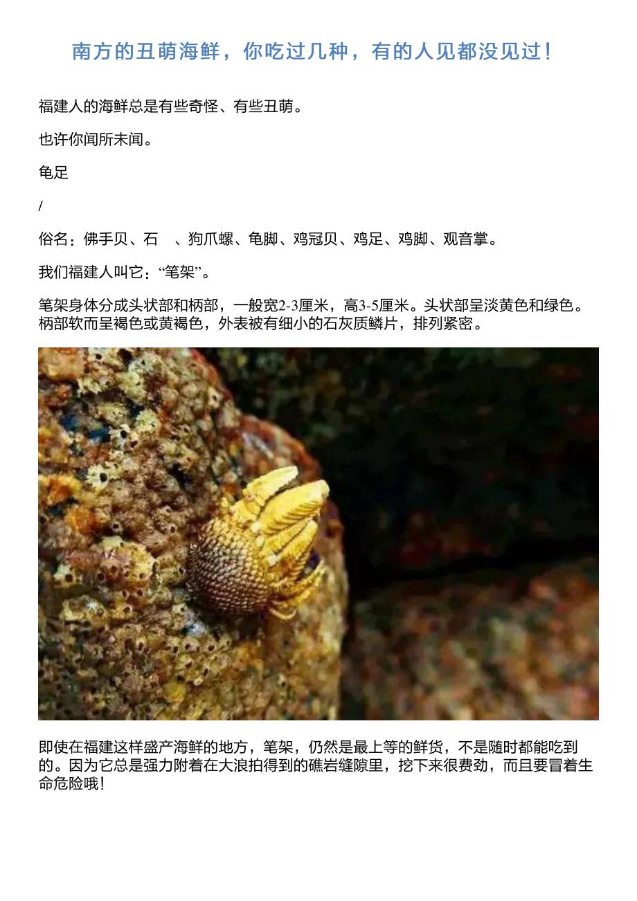 南方的丑萌海鲜,你吃过几种,有的人见都没见过!_第1页