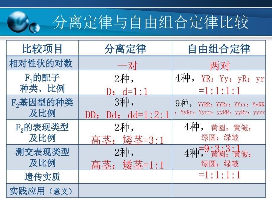 基因概率计算_第5页