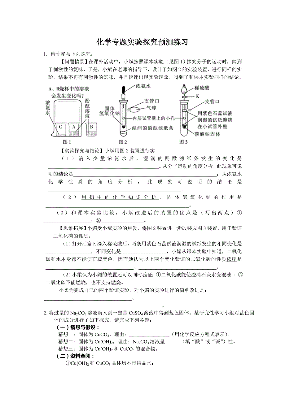 化学专题实验探究预测练习_第1页