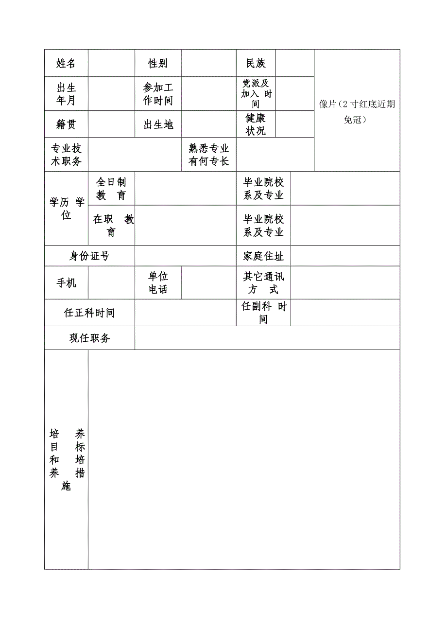 后备干部登记表_第3页