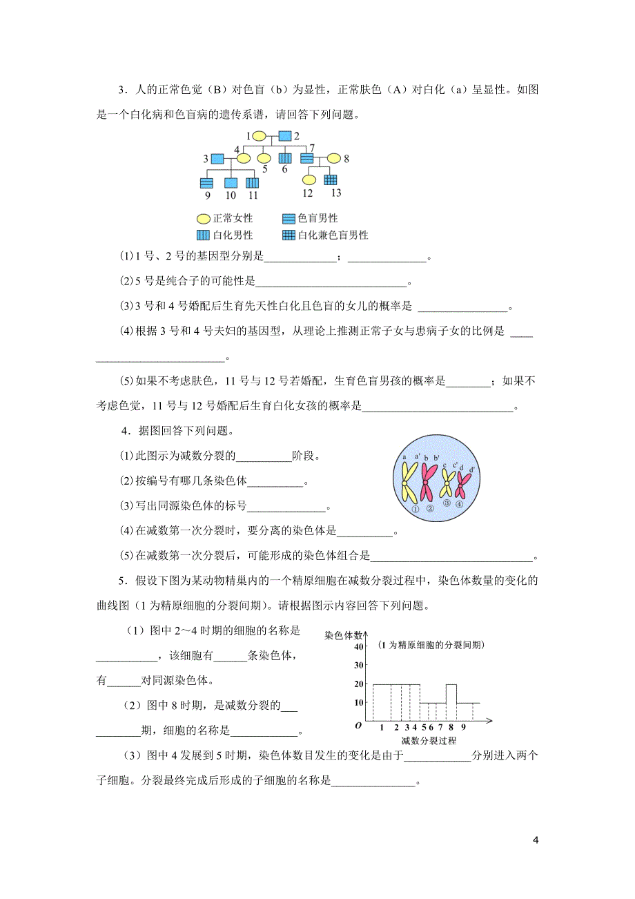 高中生物_必修二_基因和染色体的关系测试题及答案_第4页