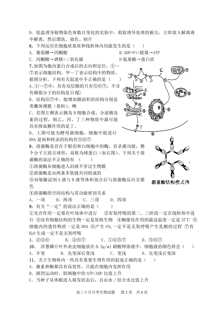 2017届高三十月月考生物试题_第2页