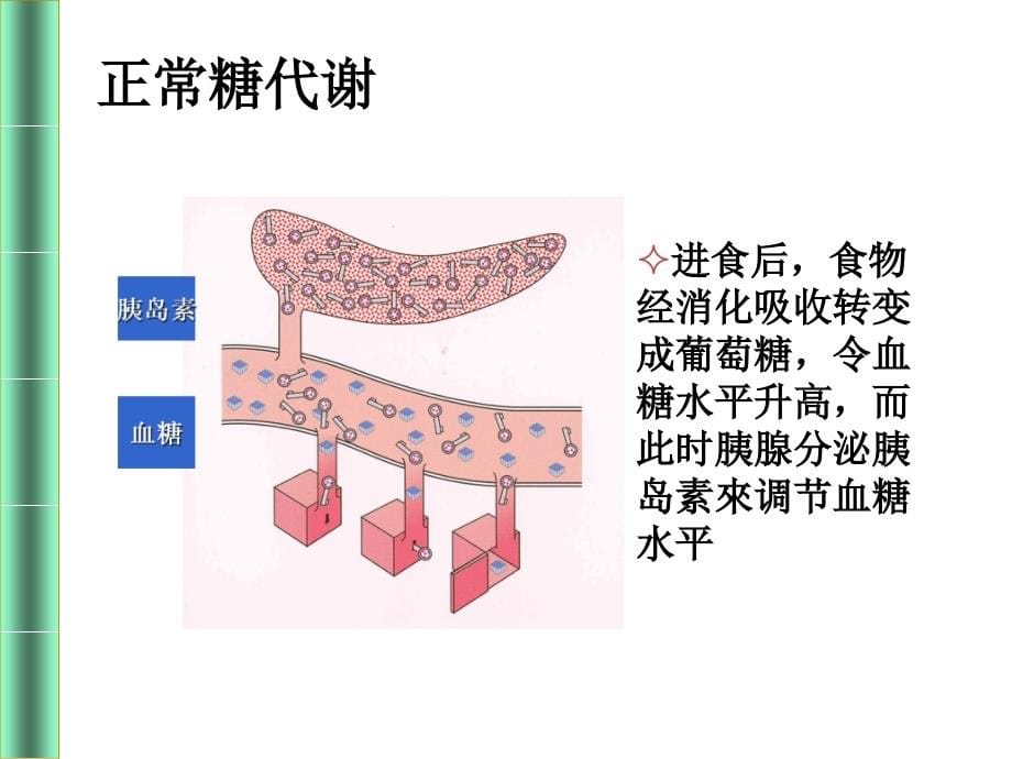 糖尿病健康教育指导_第5页