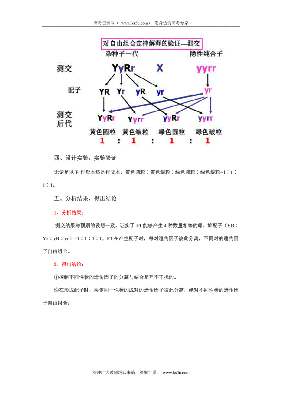 贵州省铜仁市外国语学校高二生物《基因自由组合定律》教学设计_第3页