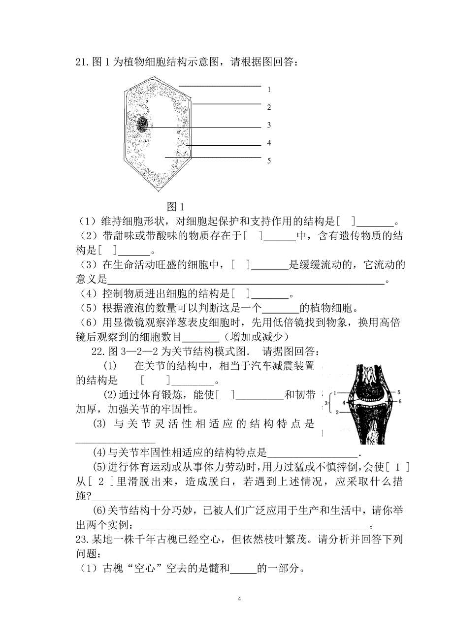 济南版七年级上册期末生物试题_第4页