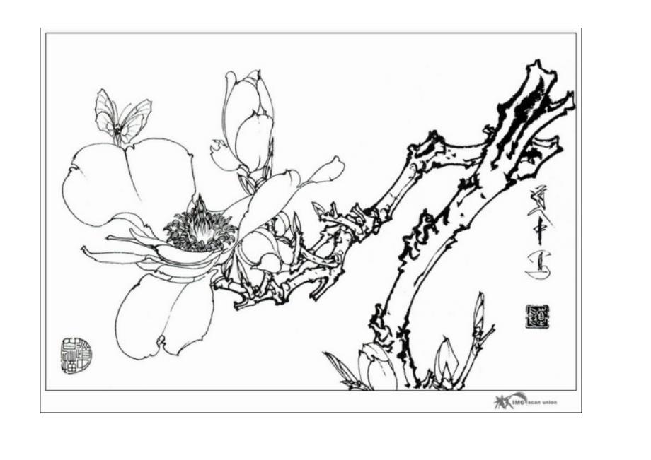 美术.欣赏.工笔.花卉.王道中.素描.004_第1页