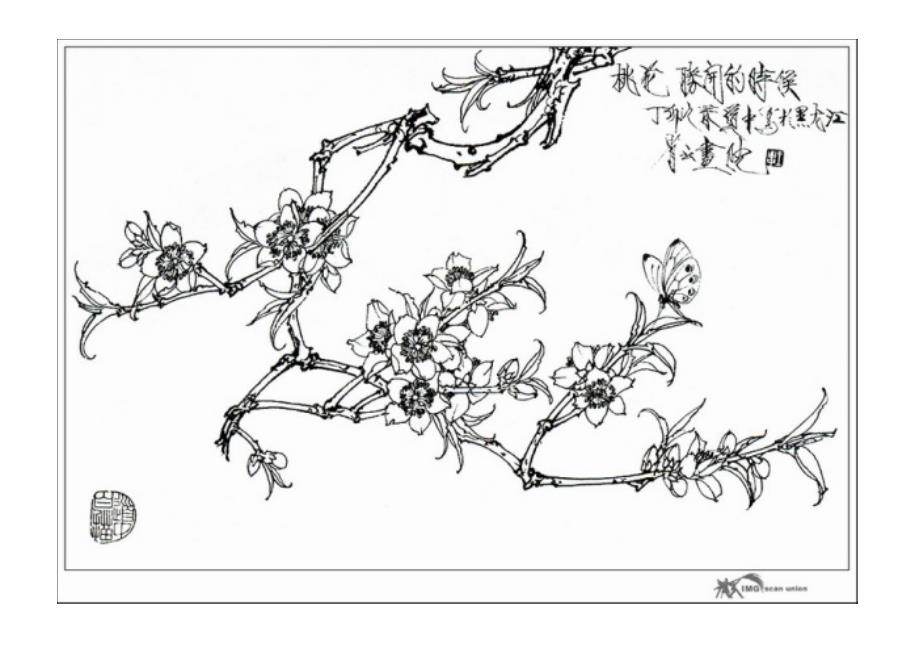 美术.欣赏.工笔.花卉.王道中.素描.004_第4页
