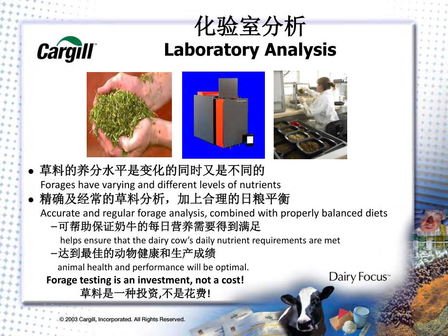 青贮玉米养分分析_第4页