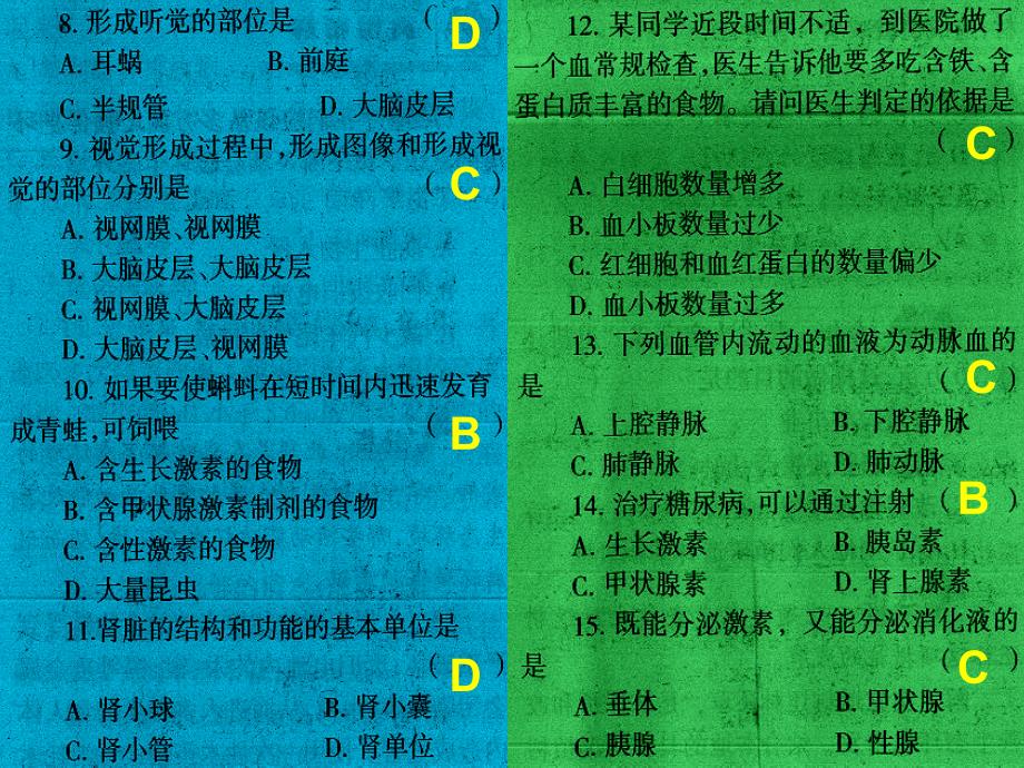 7、生物配套练习期末考试_第3页