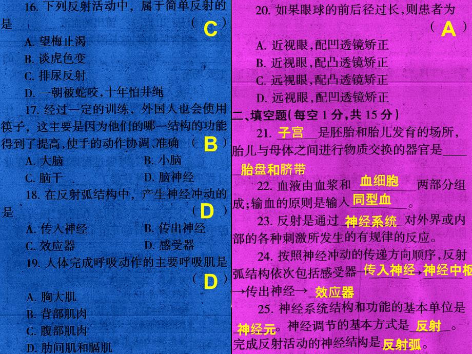 7、生物配套练习期末考试_第4页