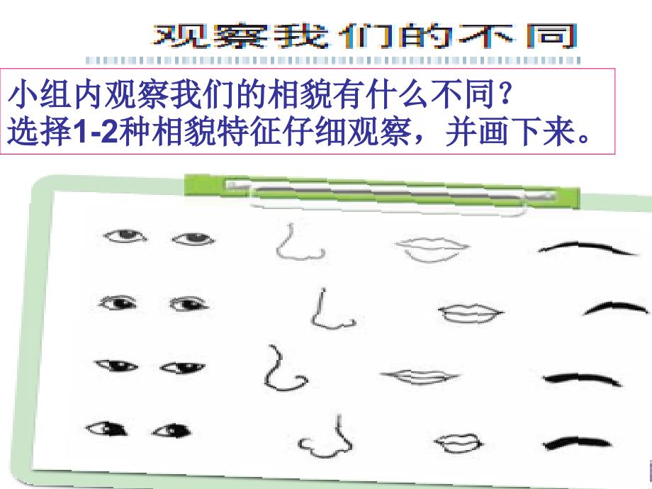 教科版科学六年级上册《相貌各异的我们》ppt_第2页