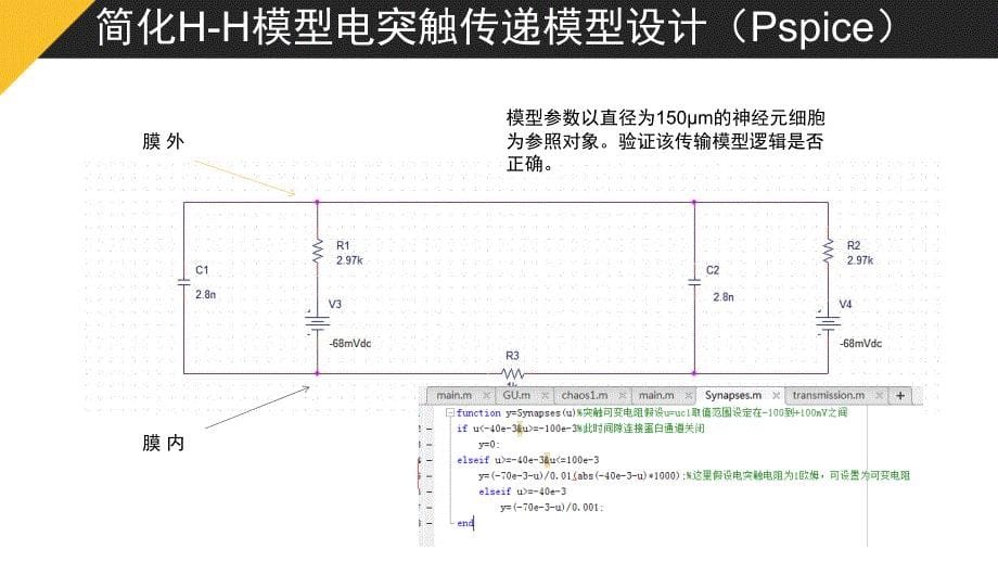 神经元电突触仿真_第5页