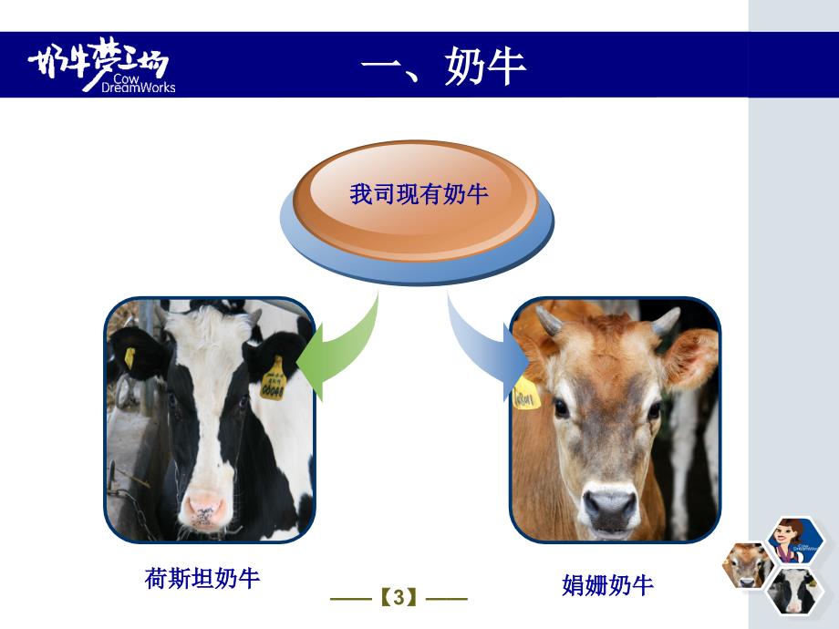 奶牛及牛奶常识_第3页