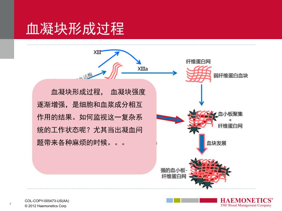 血栓弹力图TEG-课件_第4页