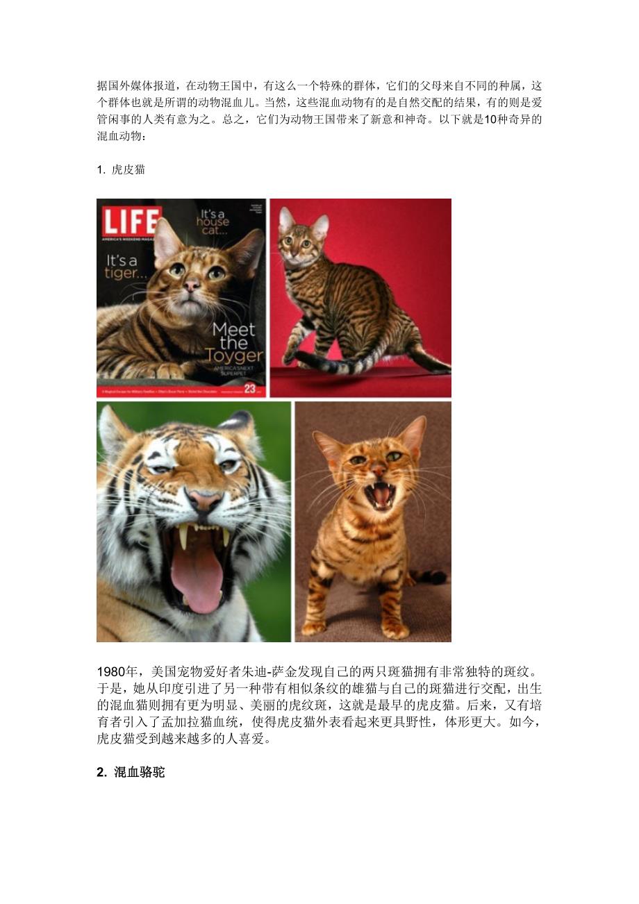 世界十大奇特杂交动物_第1页