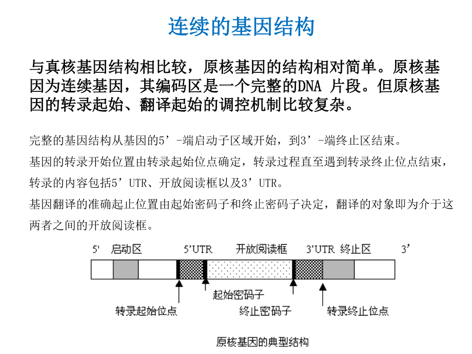 中科院课程-细菌基因组学-14-04-11_第4页