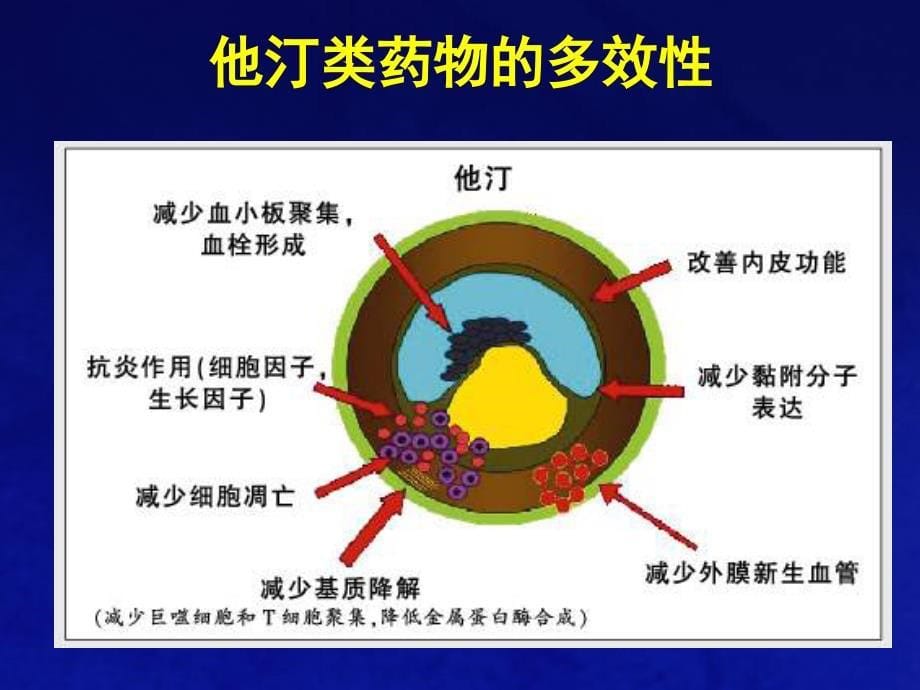 他汀类药物多效性_第5页