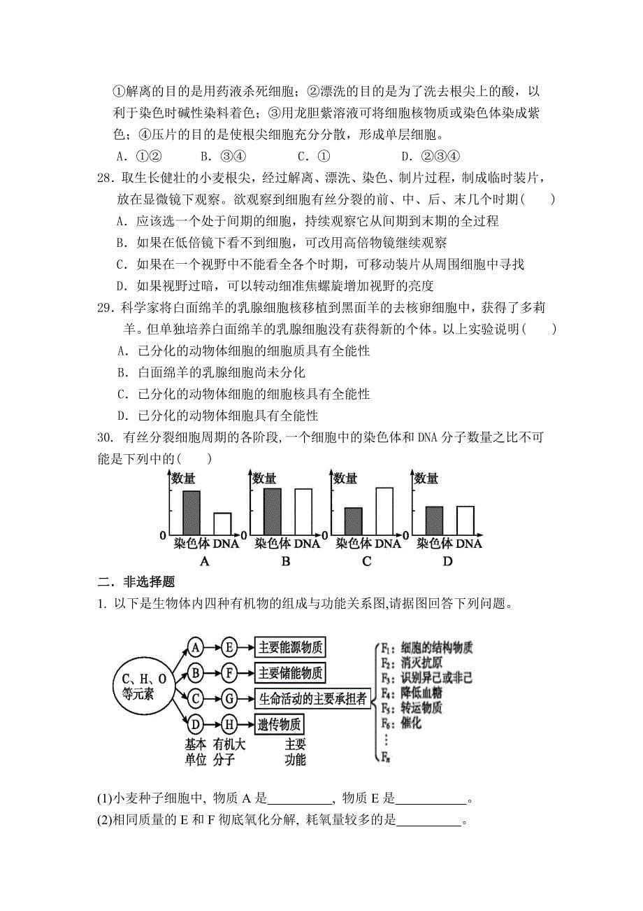 高一上册生物复习题_第5页