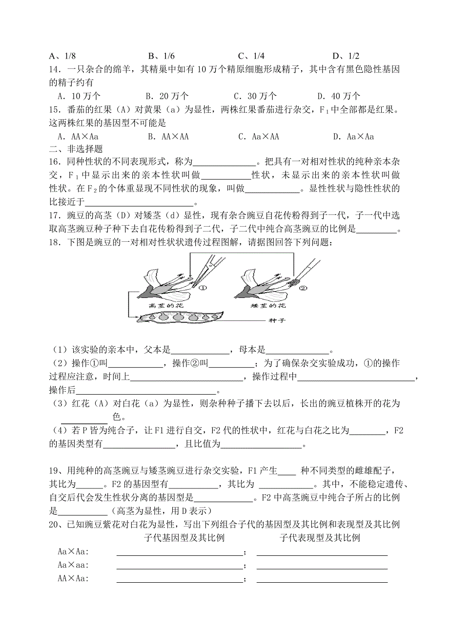 基因分离定律练习一_第2页