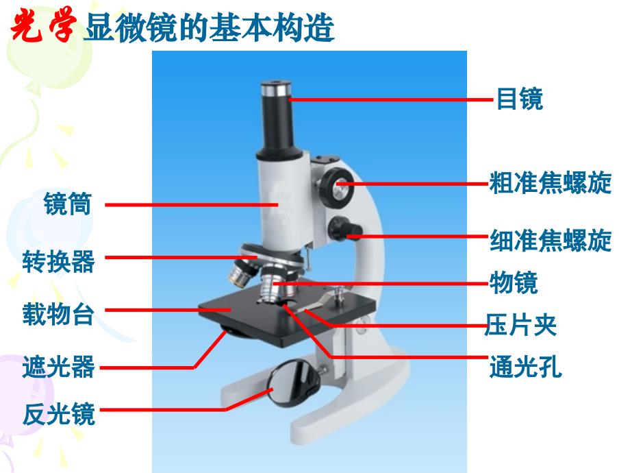 高一生物实验_使用高倍镜观察几种细胞_第3页