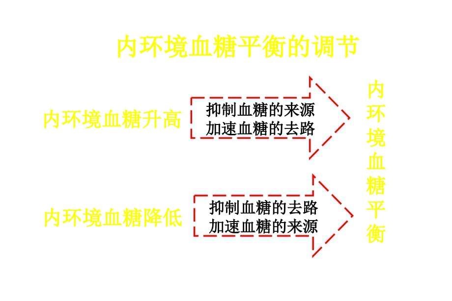 高生物人和动物的调与信息传递_第5页