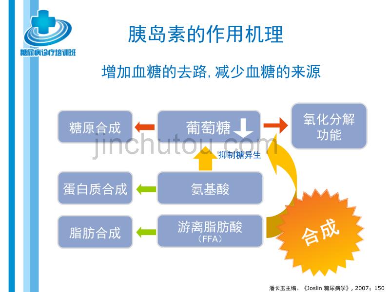 糖尿病的基础知识_第4页