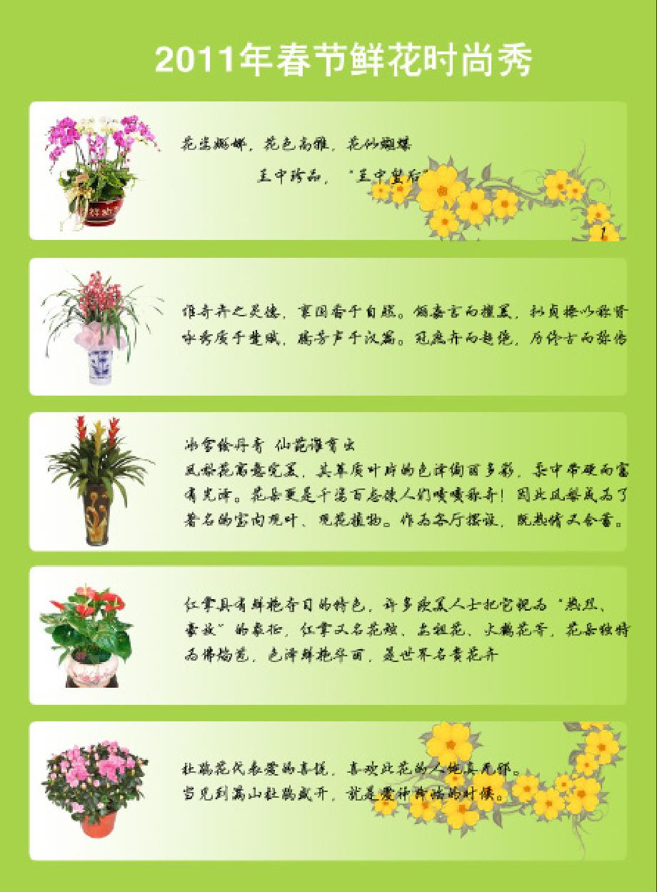 鲜花杂志《鲜花时尚》第1期 年宵花画册_第2页