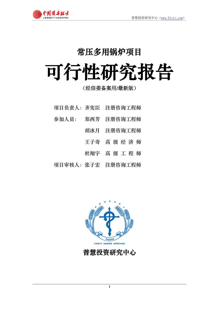 常压多用锅炉项目可行性研究报告经信委备案用(最新版)_第2页