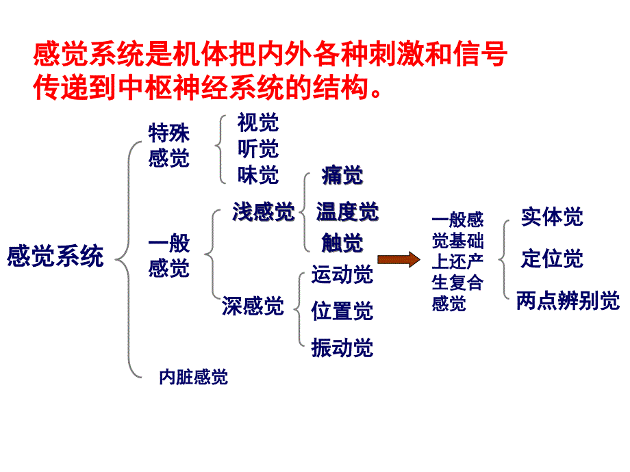 神经功能感觉检查法_第2页