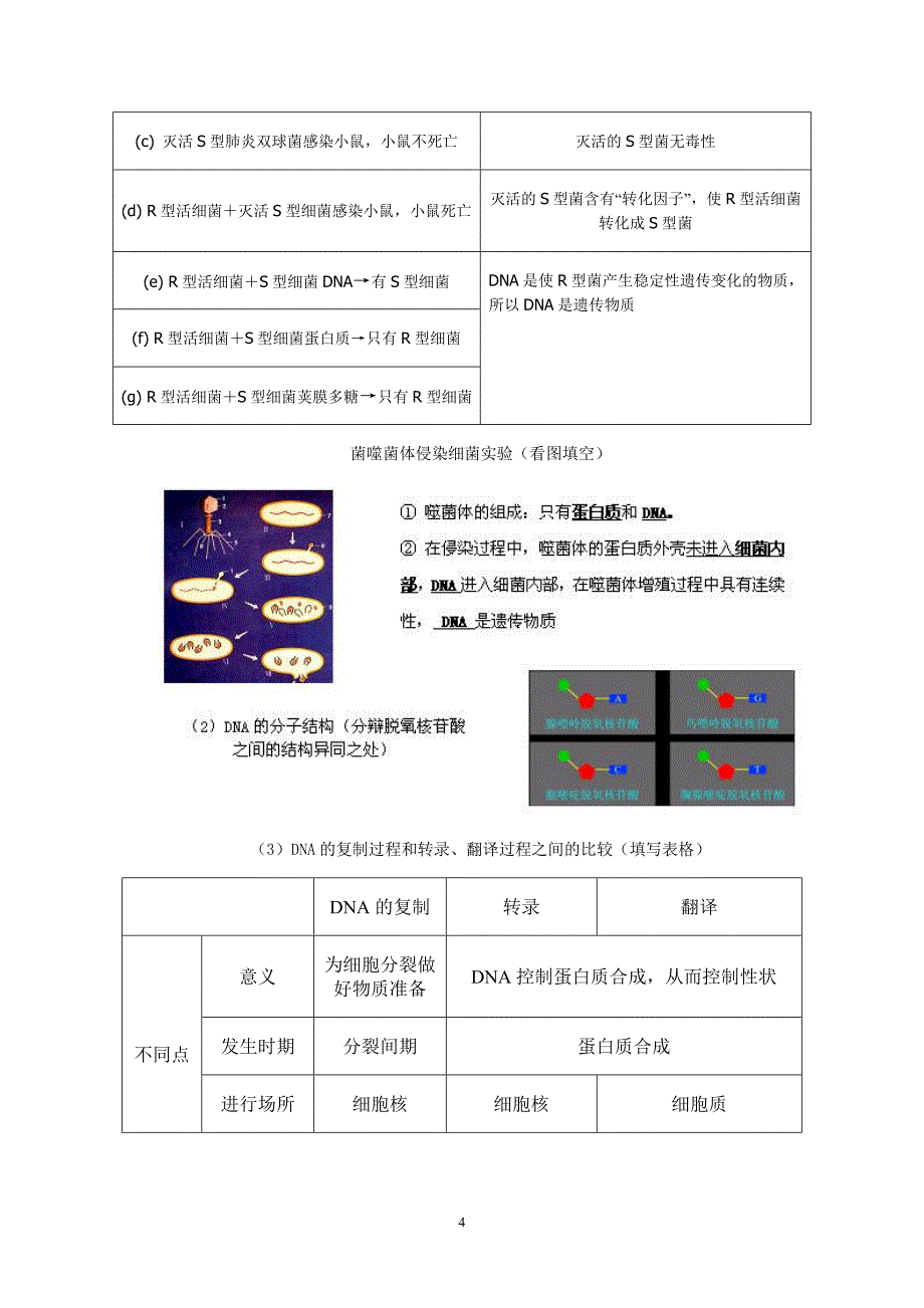 基因的本质和表达复习教案_第4页