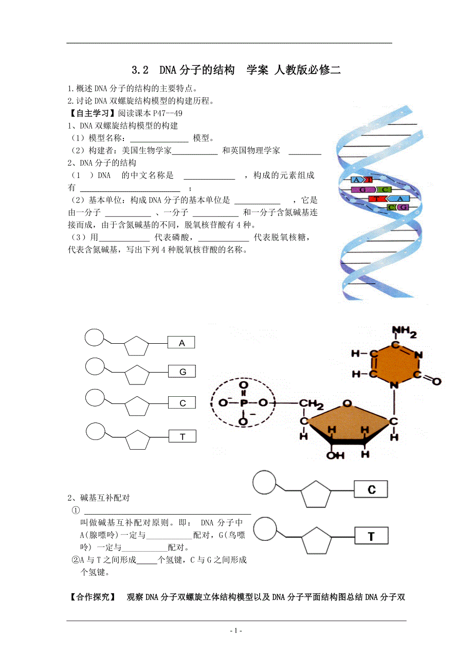 3.2　DNA分子的结构学案人教版必修二_第1页