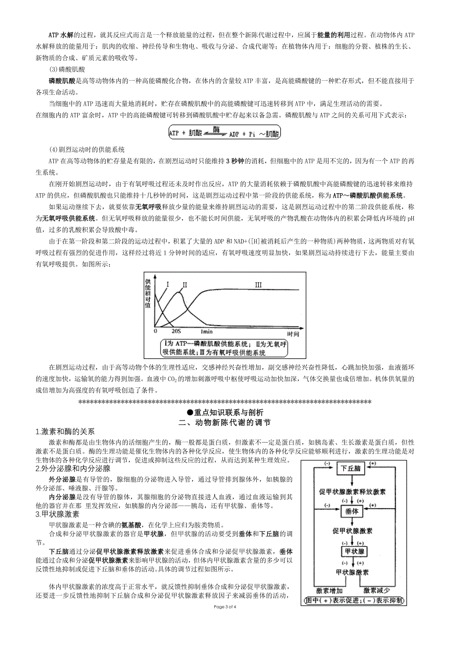 动物的新陈代谢及其调节_第3页