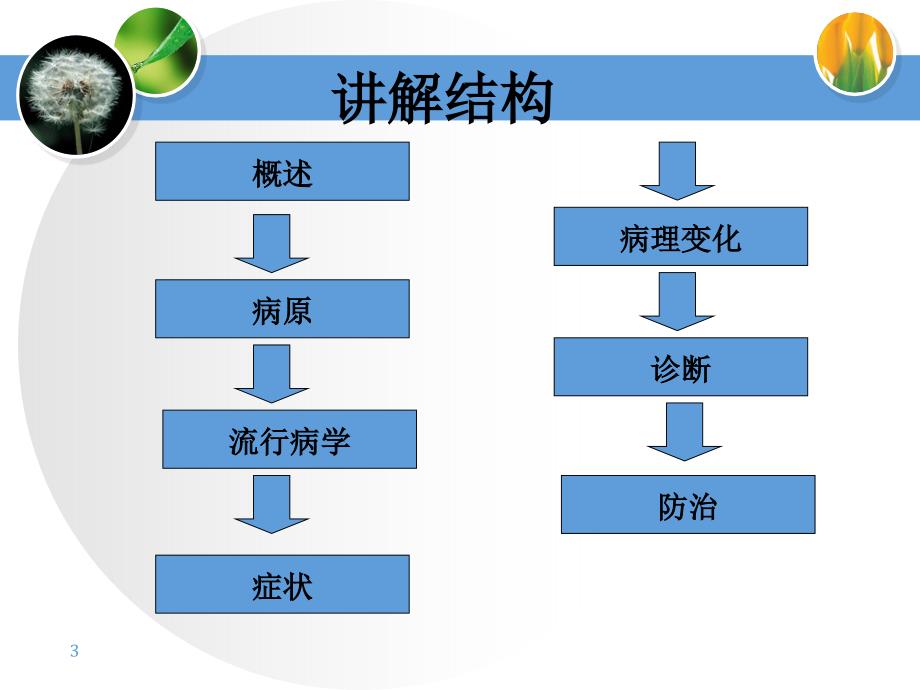 西南大学荣昌校区7+5”兔业兔病1_第3页