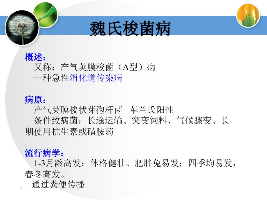 西南大学荣昌校区7+5”兔业兔病1_第4页