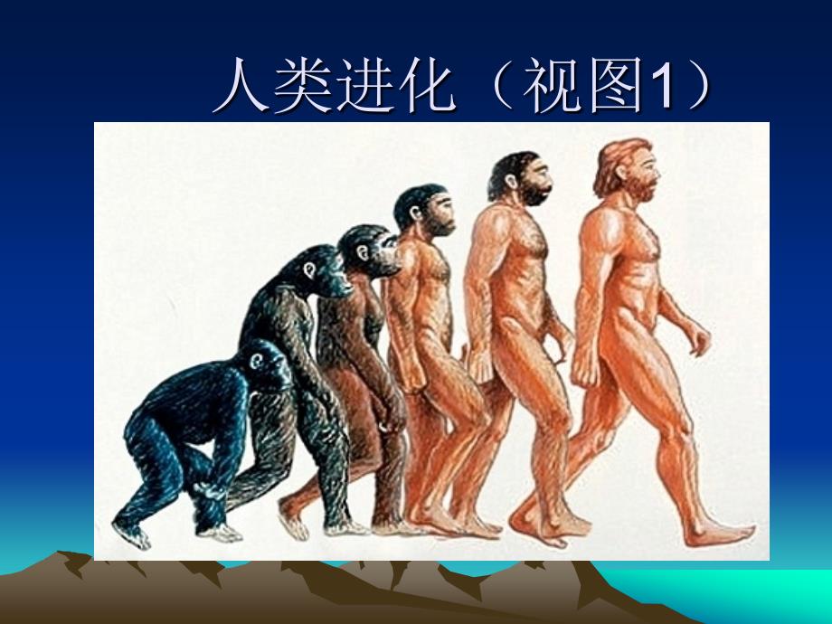 （大象版）六年级科学下册课件 展现人类祖先的生活画卷_第3页