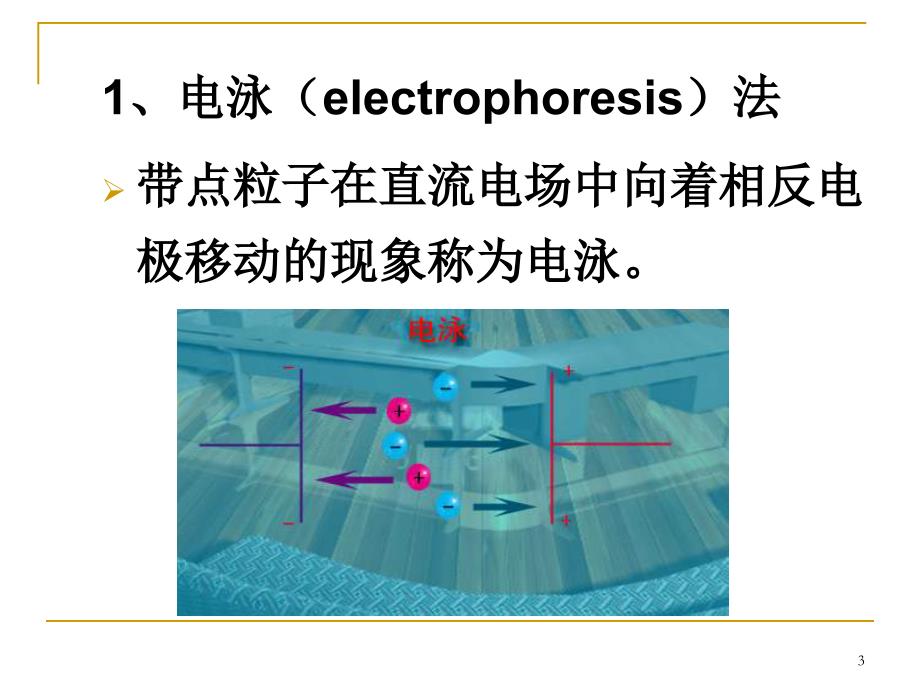 血清蛋白质醋酸纤_第3页