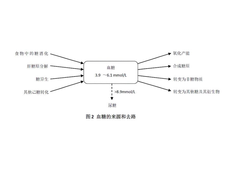 实验专题模块一血糖和血糖的调节_第5页