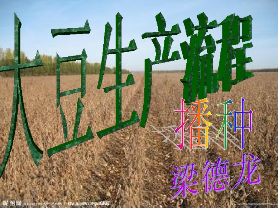 大豆播种  梁德龙_第1页