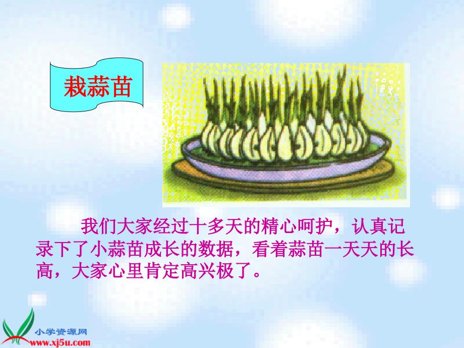 （北师大版）四年级数学上册课件 栽蒜苗三_第4页